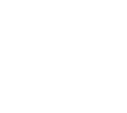 felo-fas.com
